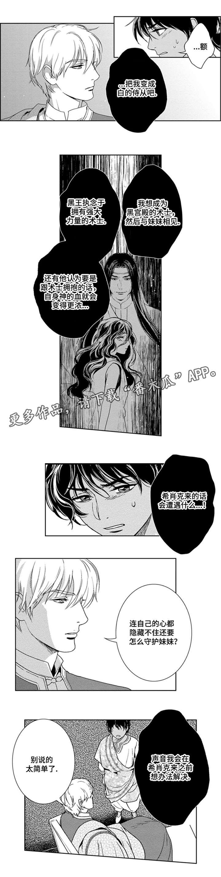 《真假术师》漫画最新章节第24章：成为黑的术士免费下拉式在线观看章节第【2】张图片