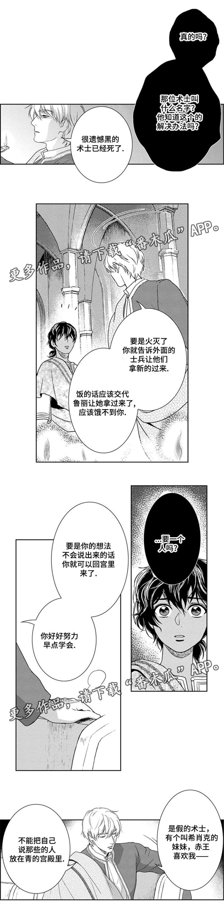 《真假术师》漫画最新章节第24章：成为黑的术士免费下拉式在线观看章节第【6】张图片