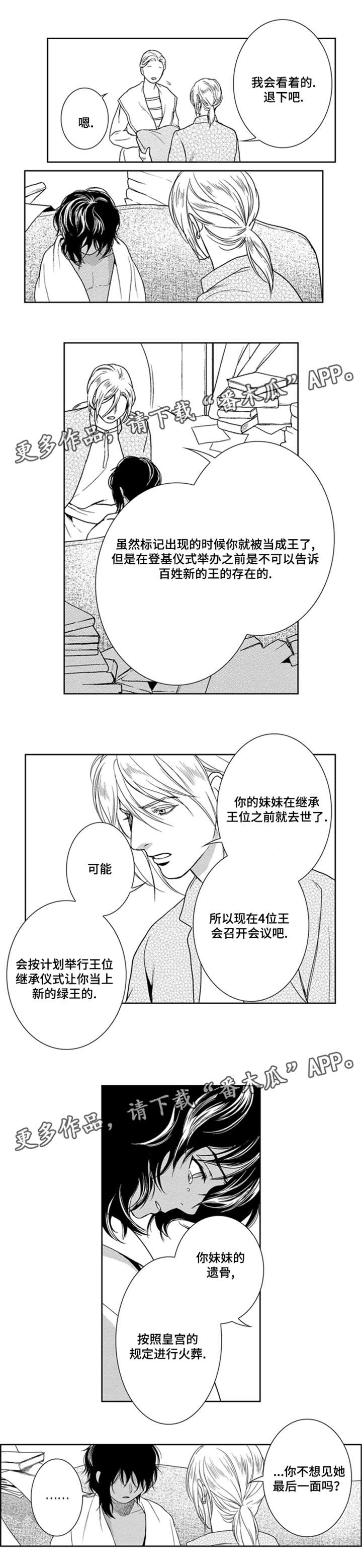 《真假术师》漫画最新章节第37章：只想见她免费下拉式在线观看章节第【3】张图片