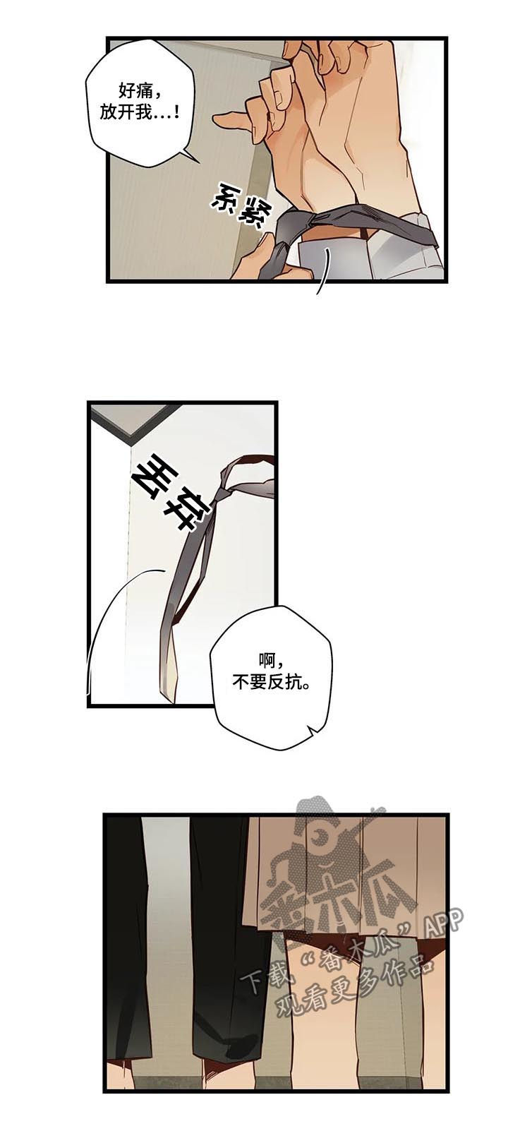 《不专》漫画最新章节第70章：有没有话说免费下拉式在线观看章节第【7】张图片