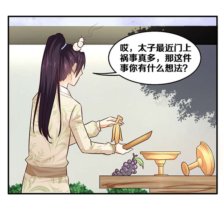 《神探太子妃》漫画最新章节第4章：竟然是你免费下拉式在线观看章节第【17】张图片