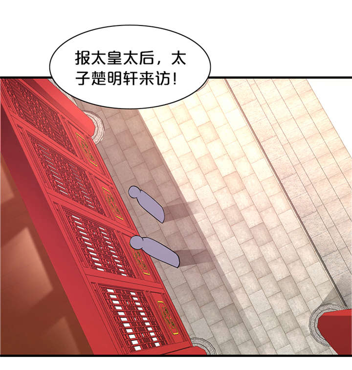 《神探太子妃》漫画最新章节第13章：太皇太后免费下拉式在线观看章节第【8】张图片