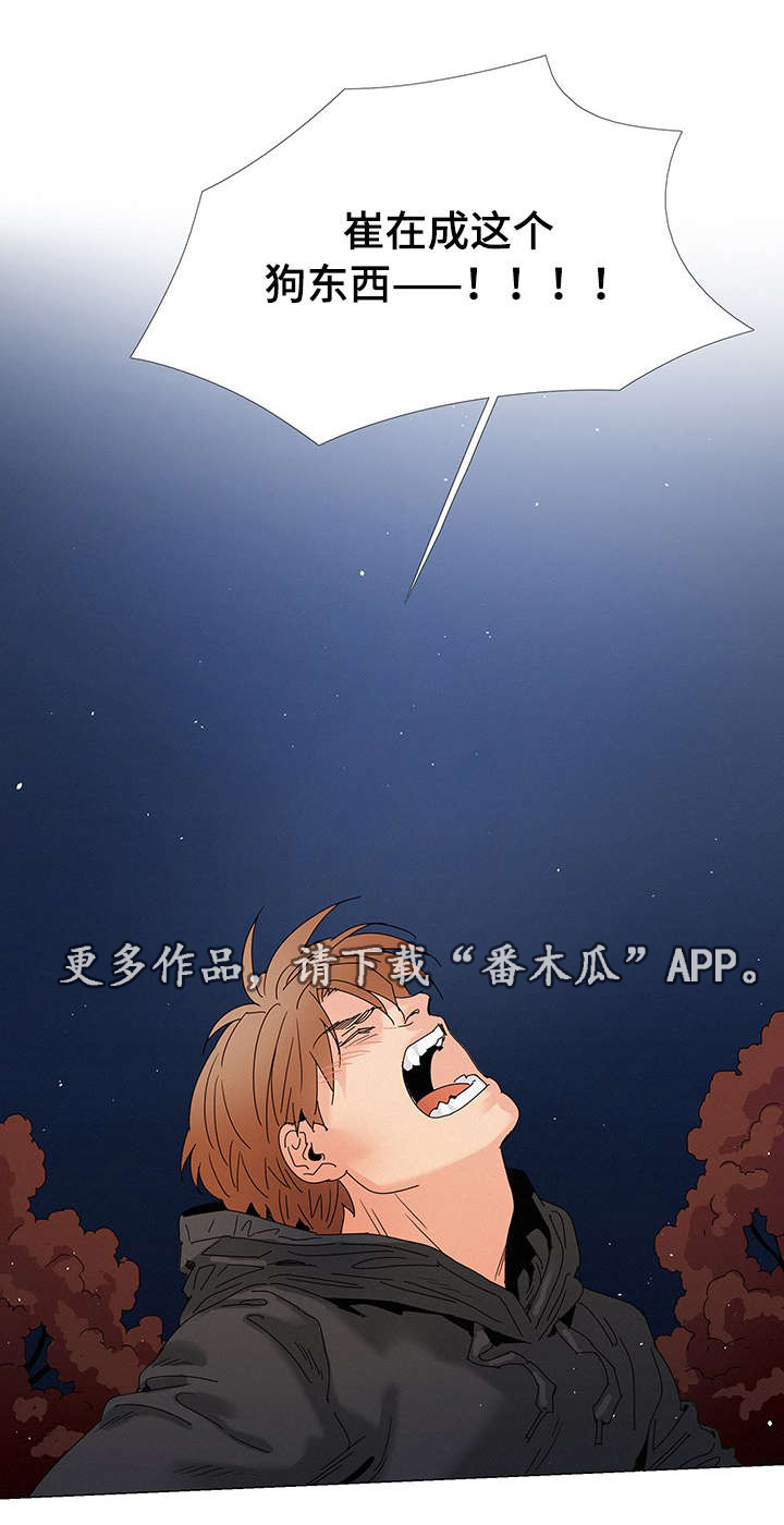 《三立》漫画最新章节第10章：送花免费下拉式在线观看章节第【10】张图片