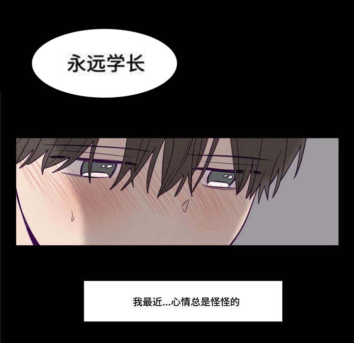 《秘密照片》漫画最新章节第17章：我行我素免费下拉式在线观看章节第【11】张图片