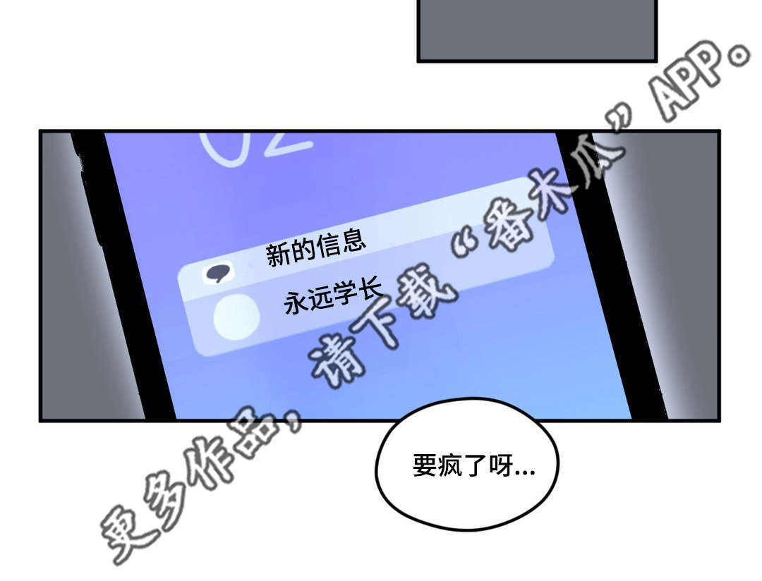 《秘密照片》漫画最新章节第17章：我行我素免费下拉式在线观看章节第【5】张图片