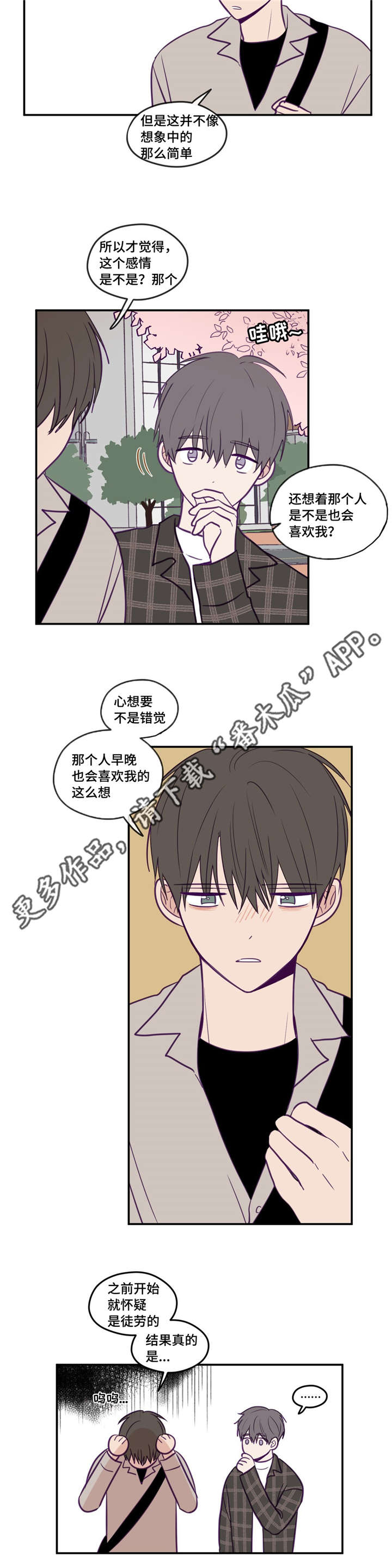 《秘密照片》漫画最新章节第36章：有心上人免费下拉式在线观看章节第【6】张图片