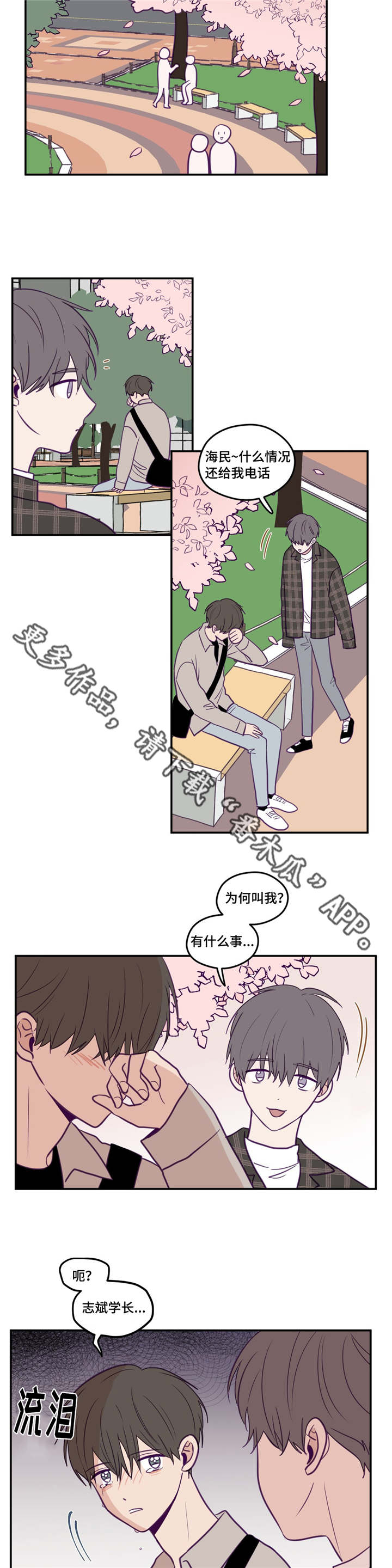 《秘密照片》漫画最新章节第36章：有心上人免费下拉式在线观看章节第【9】张图片