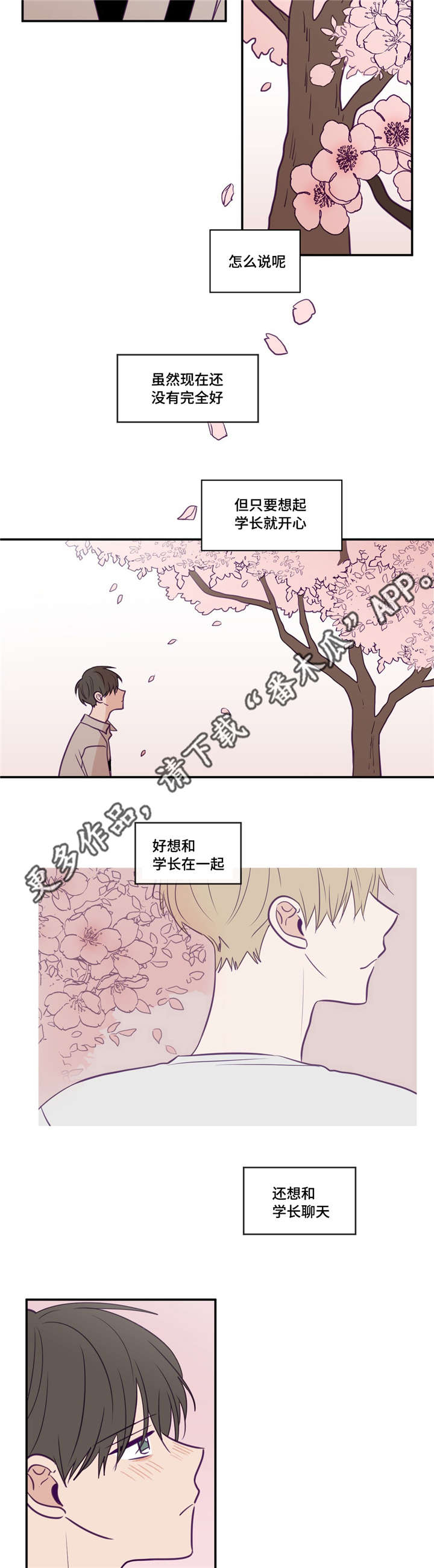 《秘密照片》漫画最新章节第37章：很有人气免费下拉式在线观看章节第【11】张图片