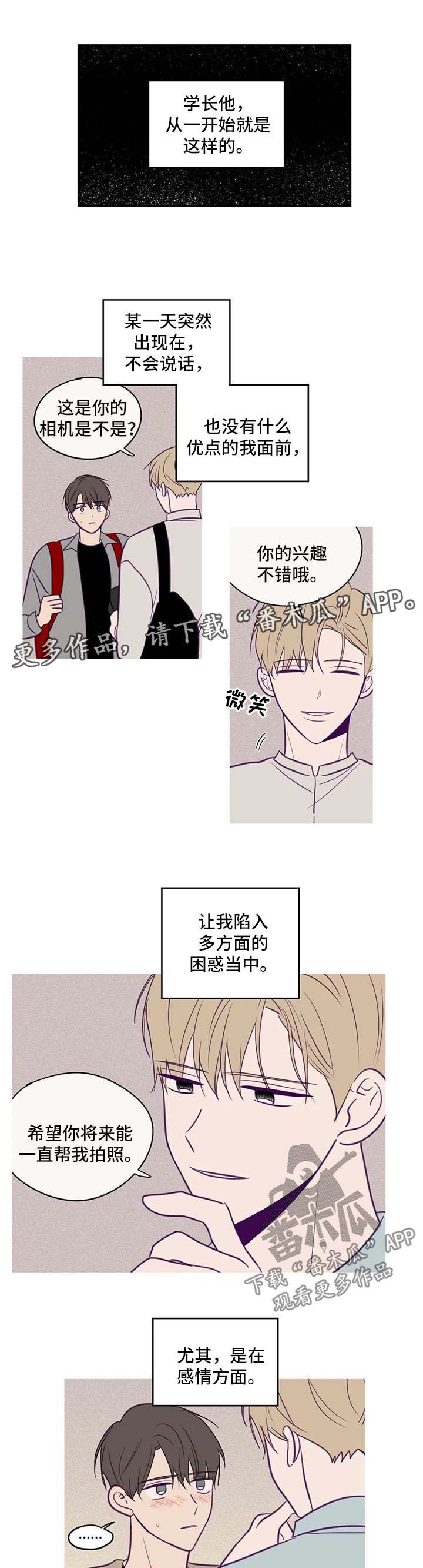 《秘密照片》漫画最新章节第57章：特殊感情免费下拉式在线观看章节第【5】张图片