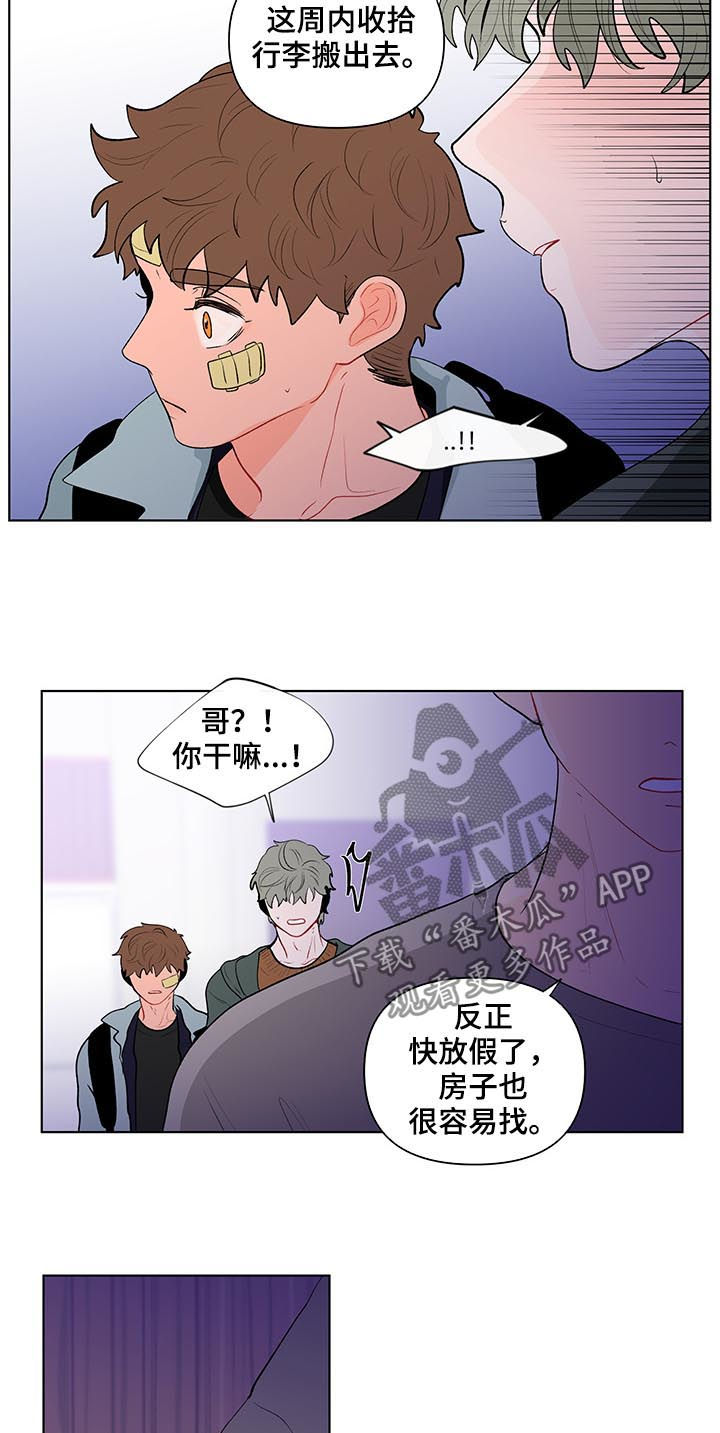 《负面消息》漫画最新章节第114章：搬出去免费下拉式在线观看章节第【3】张图片