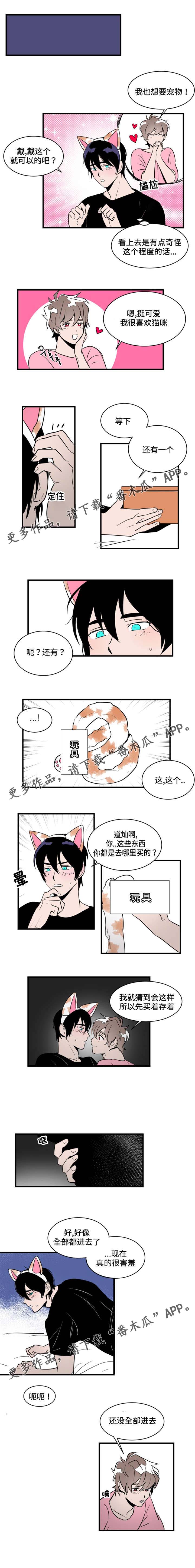 《穿着》漫画最新章节第14章：玩具免费下拉式在线观看章节第【3】张图片