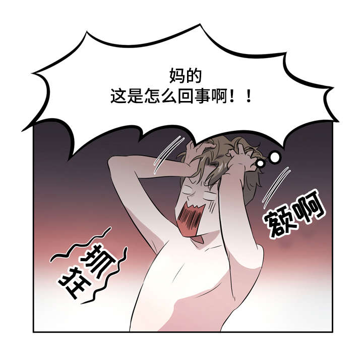 《饮食搭档》漫画最新章节第4章：这是怎么回事啊免费下拉式在线观看章节第【1】张图片