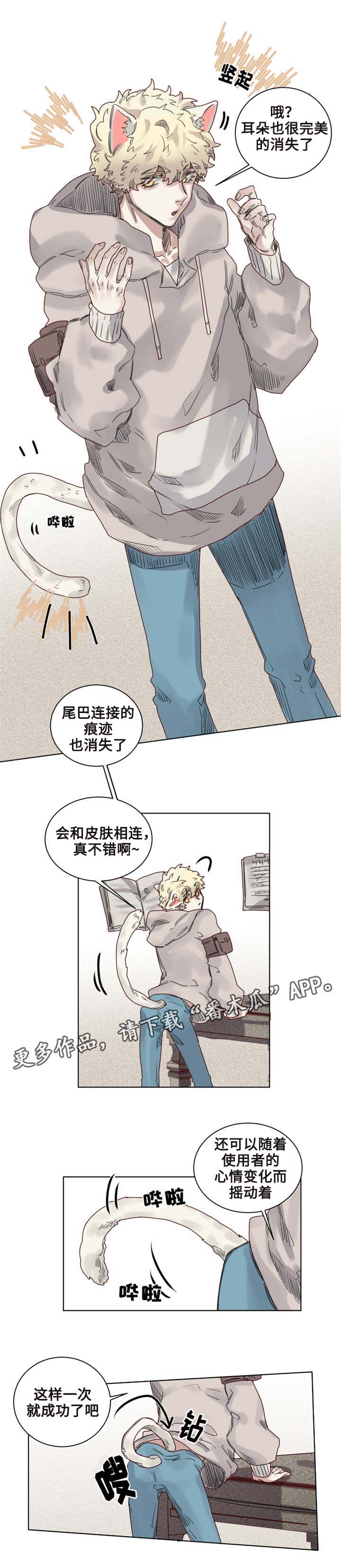 《魔法师皮塔》漫画最新章节第9章：猫咪套装免费下拉式在线观看章节第【4】张图片