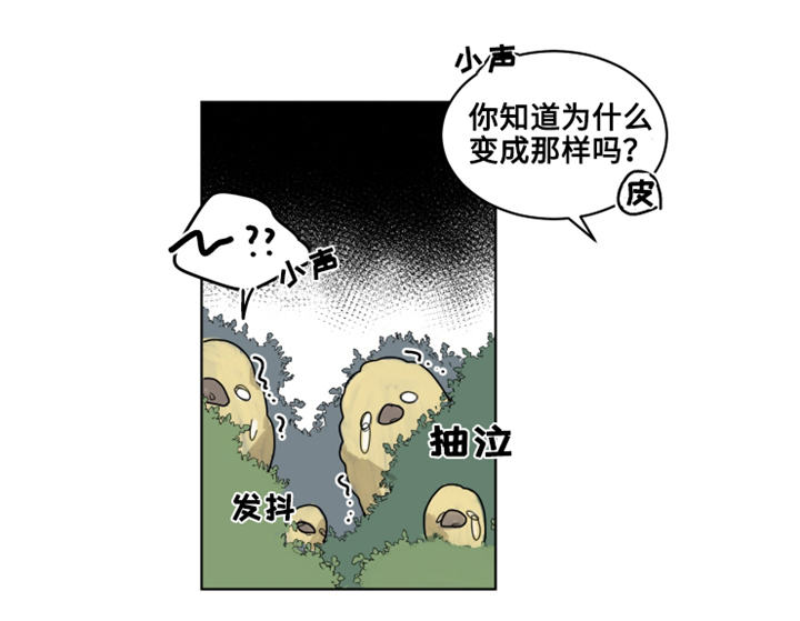 《魔法师皮塔》漫画最新章节第21章：陌生的毒花免费下拉式在线观看章节第【8】张图片