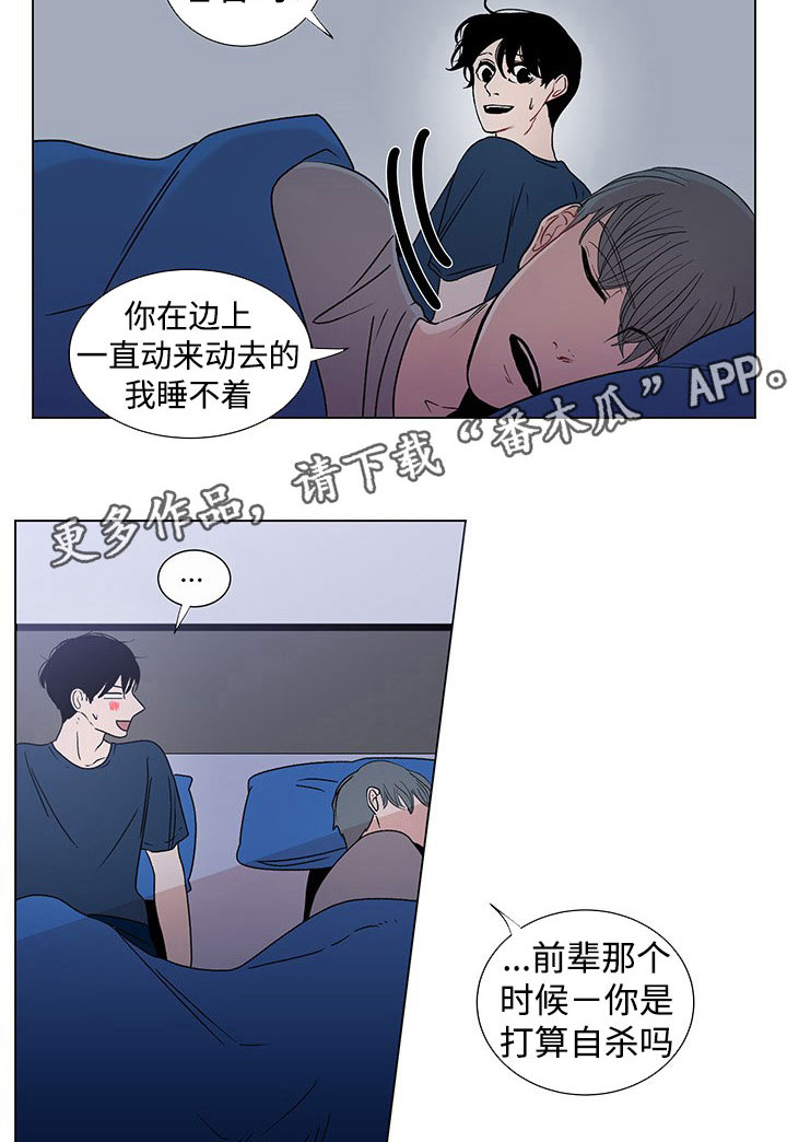 《商谈》漫画最新章节第38章：特别的存在免费下拉式在线观看章节第【17】张图片