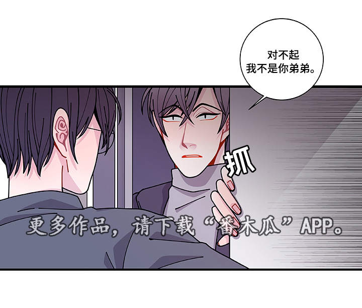 《连锁效应》漫画最新章节第29章：世界上的唯一免费下拉式在线观看章节第【1】张图片