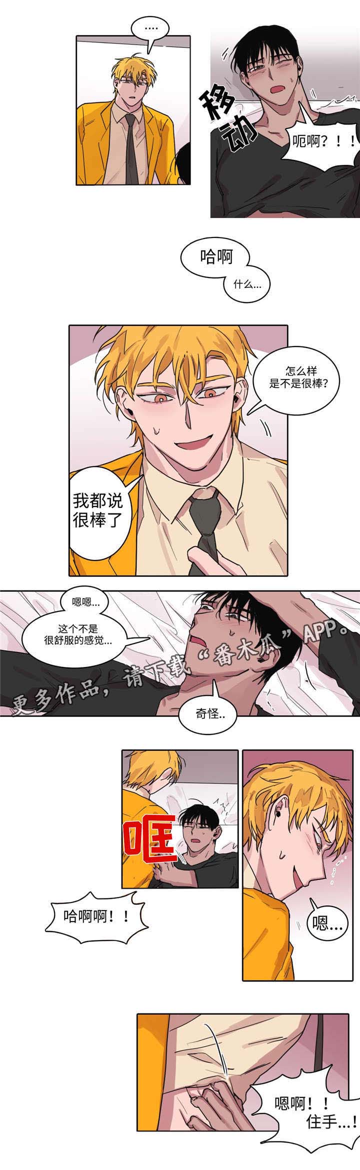 《五者》漫画最新章节第11章：黄色的场合免费下拉式在线观看章节第【1】张图片