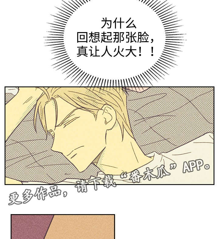 《内或外》漫画最新章节第17章：青春太肤浅免费下拉式在线观看章节第【11】张图片