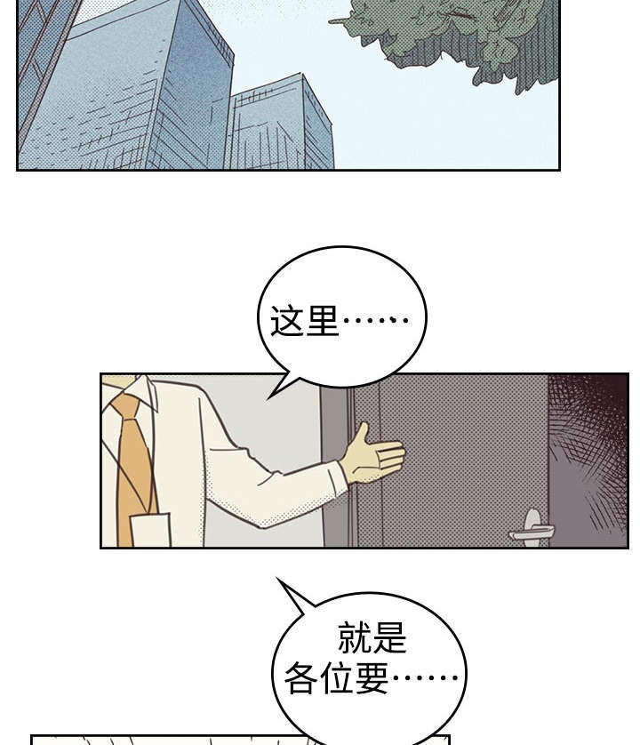 《内或外》漫画最新章节第27章：办公室免费下拉式在线观看章节第【4】张图片