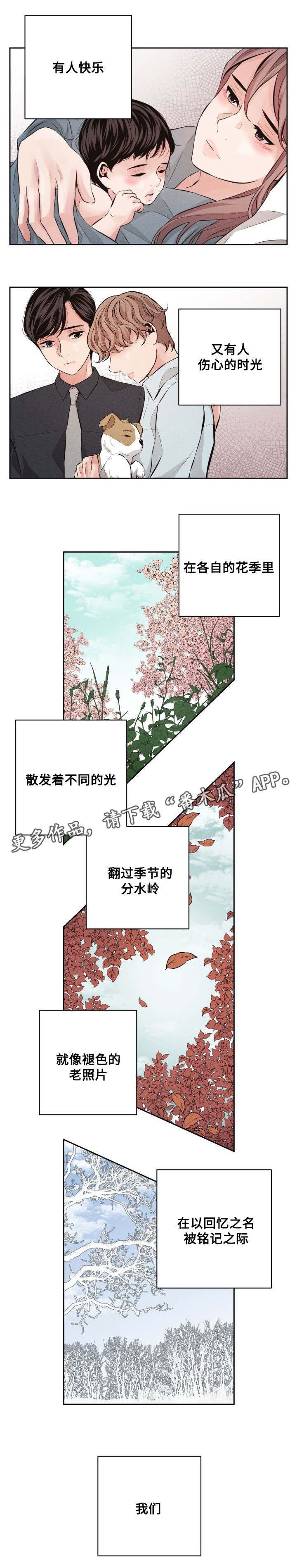 《想你的季节》漫画最新章节第64章：最美的花季(完结)免费下拉式在线观看章节第【7】张图片