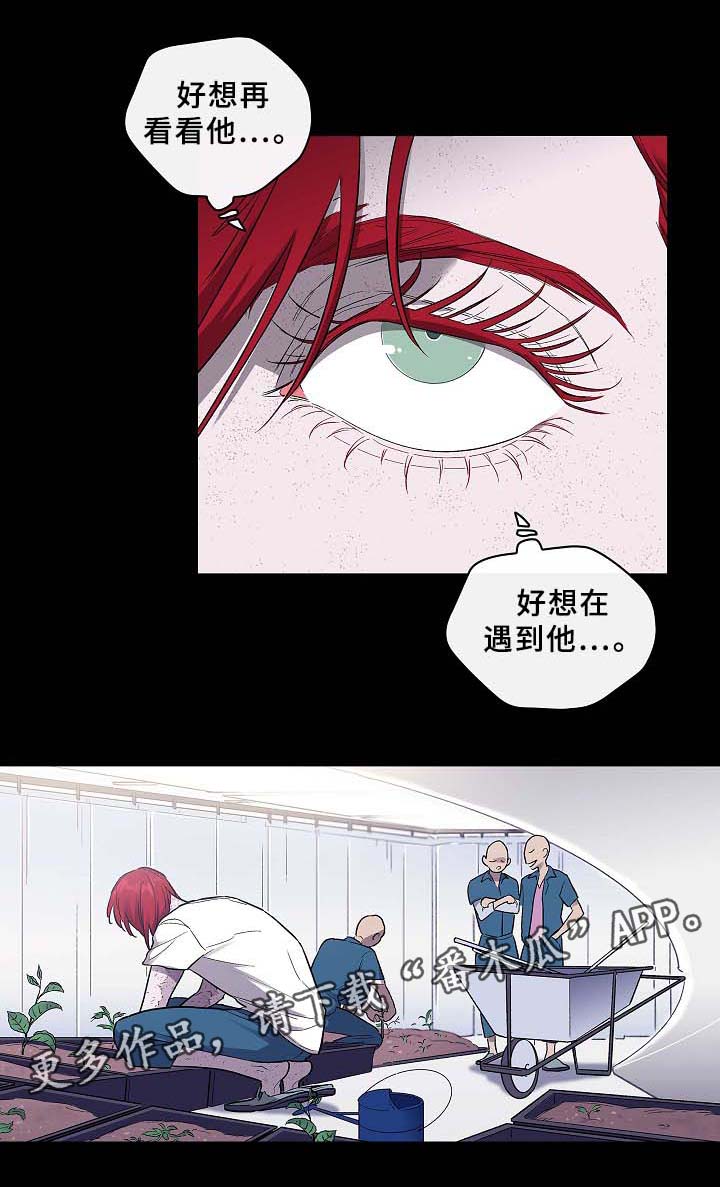 《宇宙监狱》漫画最新章节第58章：为了你.我都愿意免费下拉式在线观看章节第【5】张图片