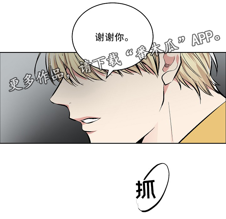 《指令》漫画最新章节第74章：纯情的设定免费下拉式在线观看章节第【6】张图片