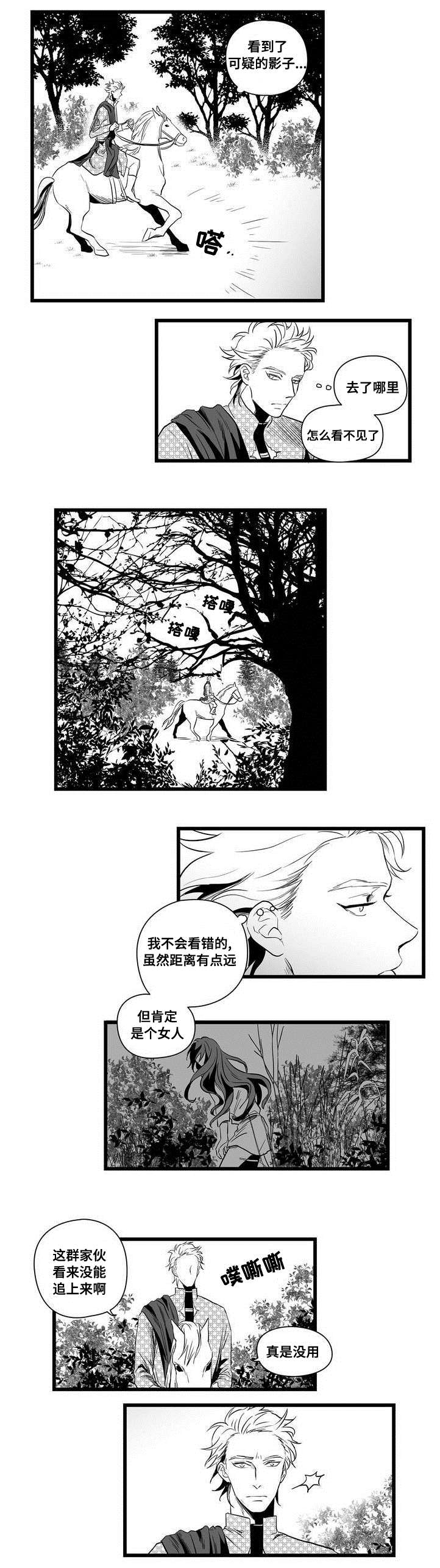 《巫师与王子》漫画最新章节第1章：女巫免费下拉式在线观看章节第【5】张图片