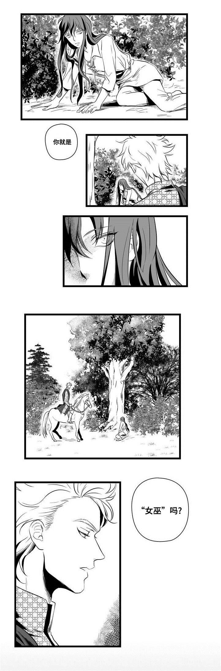 《巫师与王子》漫画最新章节第1章：女巫免费下拉式在线观看章节第【1】张图片