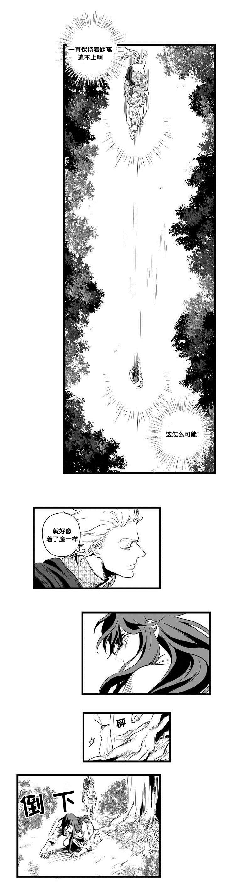 《巫师与王子》漫画最新章节第1章：女巫免费下拉式在线观看章节第【3】张图片