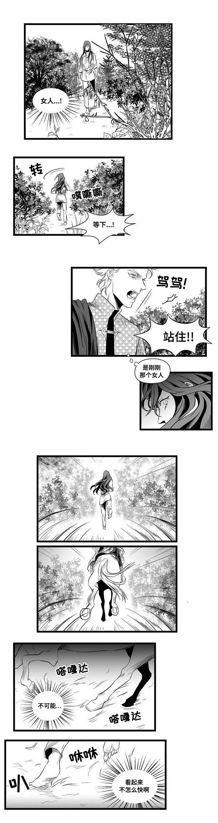 《巫师与王子》漫画最新章节第1章：女巫免费下拉式在线观看章节第【4】张图片