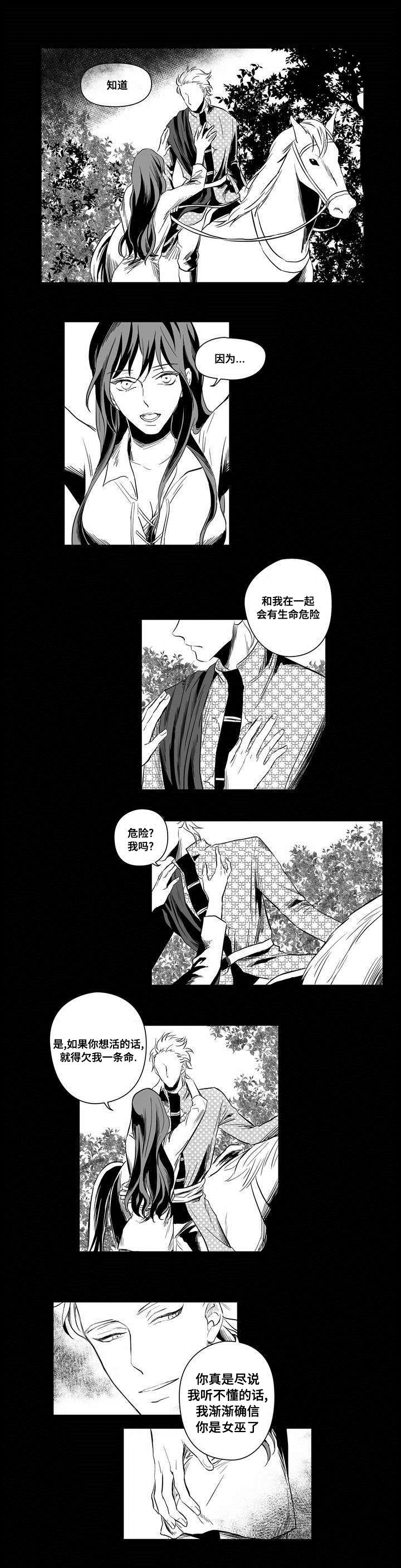 《巫师与王子》漫画最新章节第2章：失踪的士兵免费下拉式在线观看章节第【6】张图片