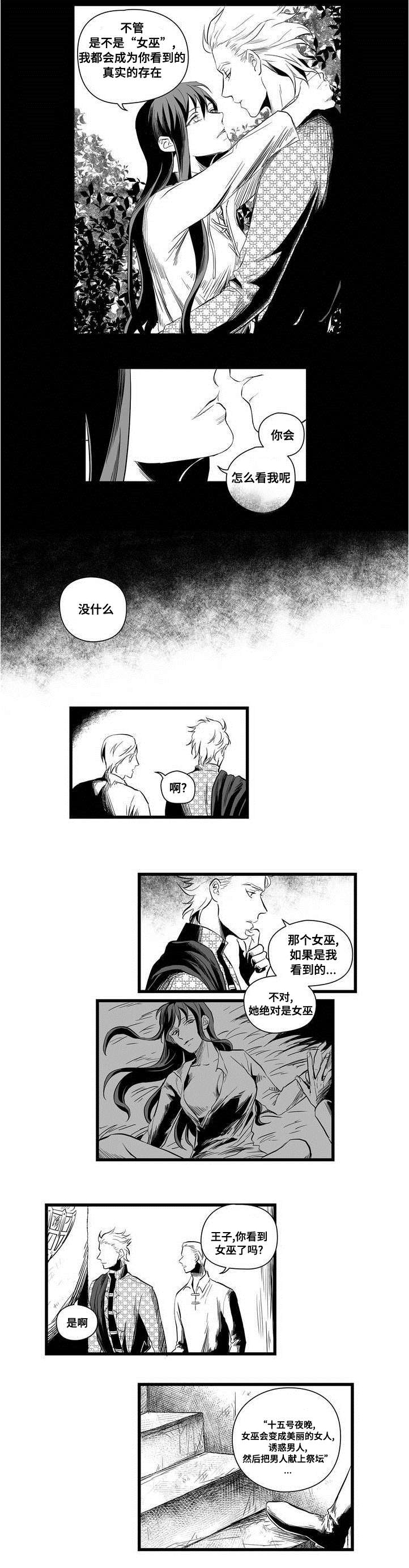 《巫师与王子》漫画最新章节第2章：失踪的士兵免费下拉式在线观看章节第【5】张图片