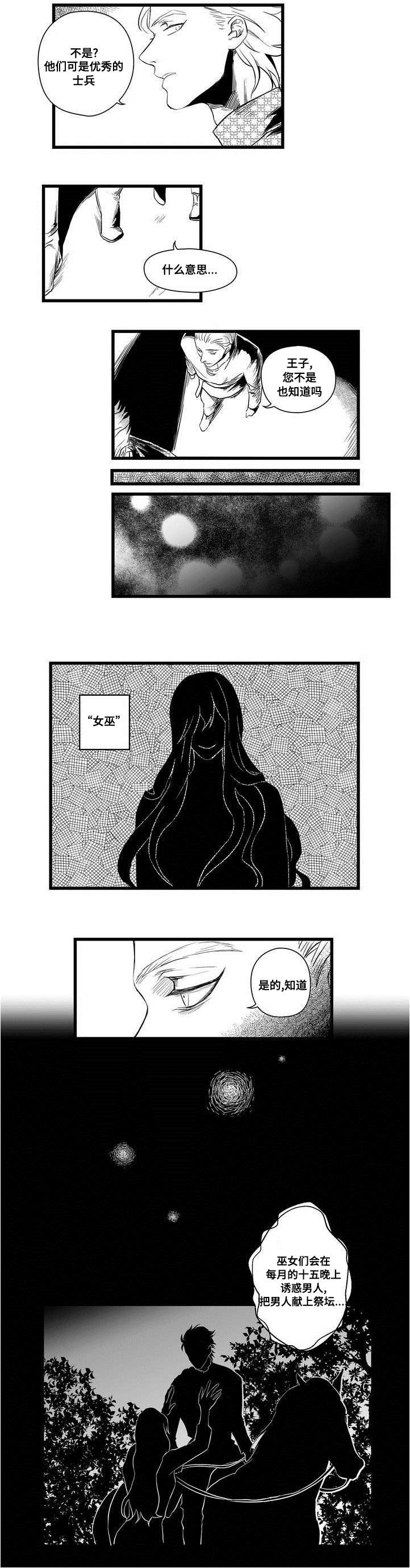 《巫师与王子》漫画最新章节第2章：失踪的士兵免费下拉式在线观看章节第【7】张图片