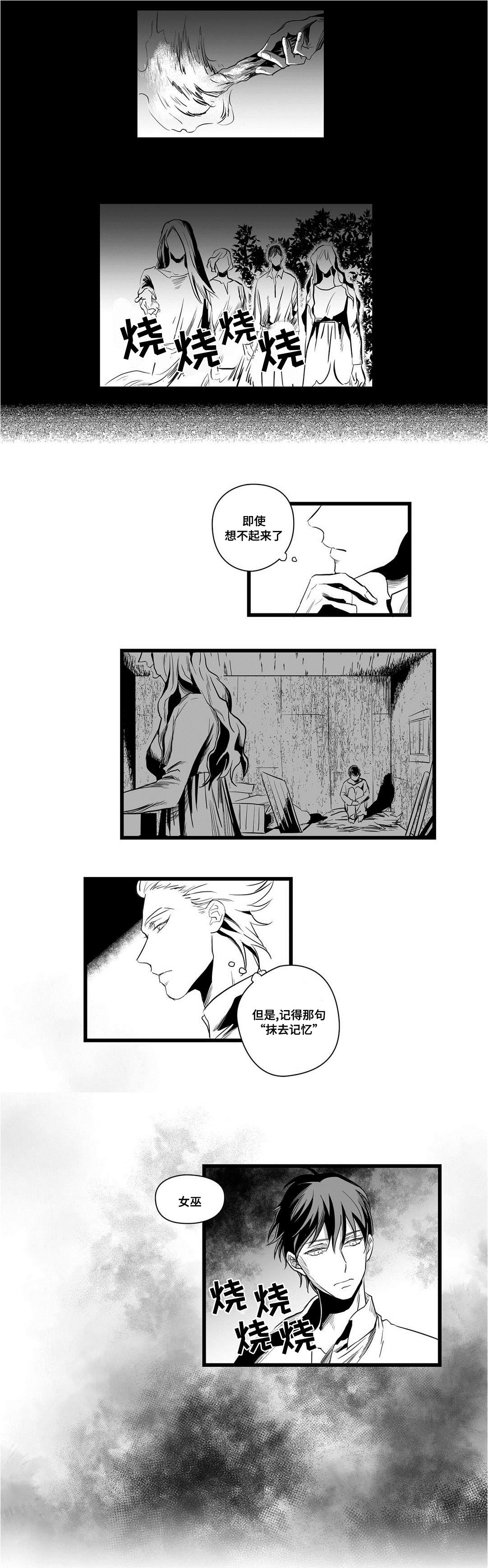 《巫师与王子》漫画最新章节第4章：记忆免费下拉式在线观看章节第【1】张图片