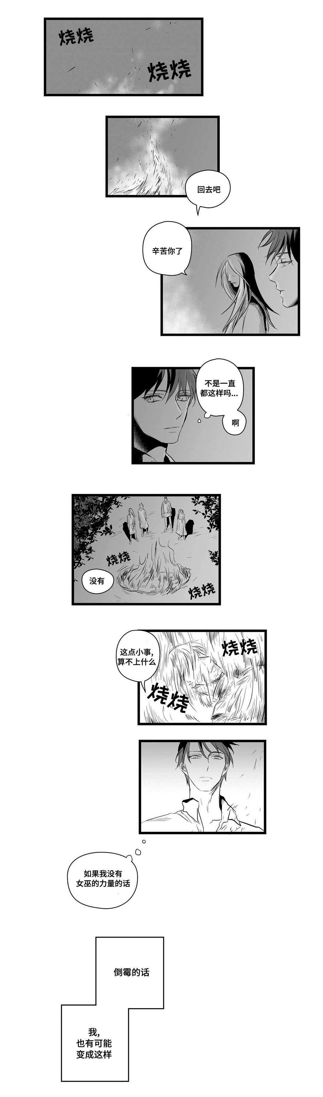 《巫师与王子》漫画最新章节第5章：又来了免费下拉式在线观看章节第【10】张图片