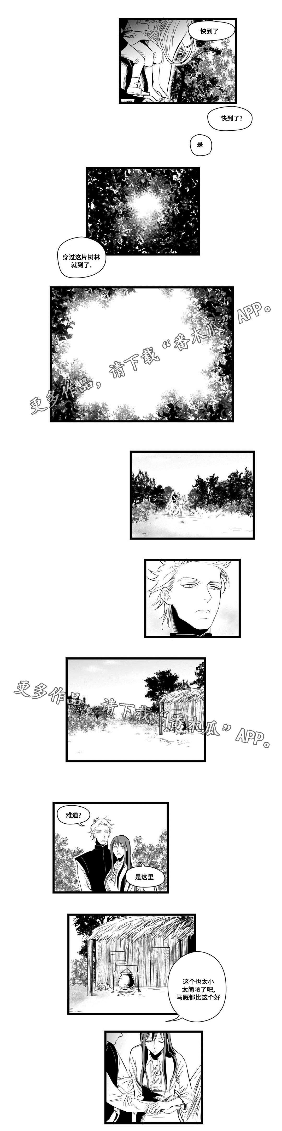 《巫师与王子》漫画最新章节第6章：危险免费下拉式在线观看章节第【8】张图片