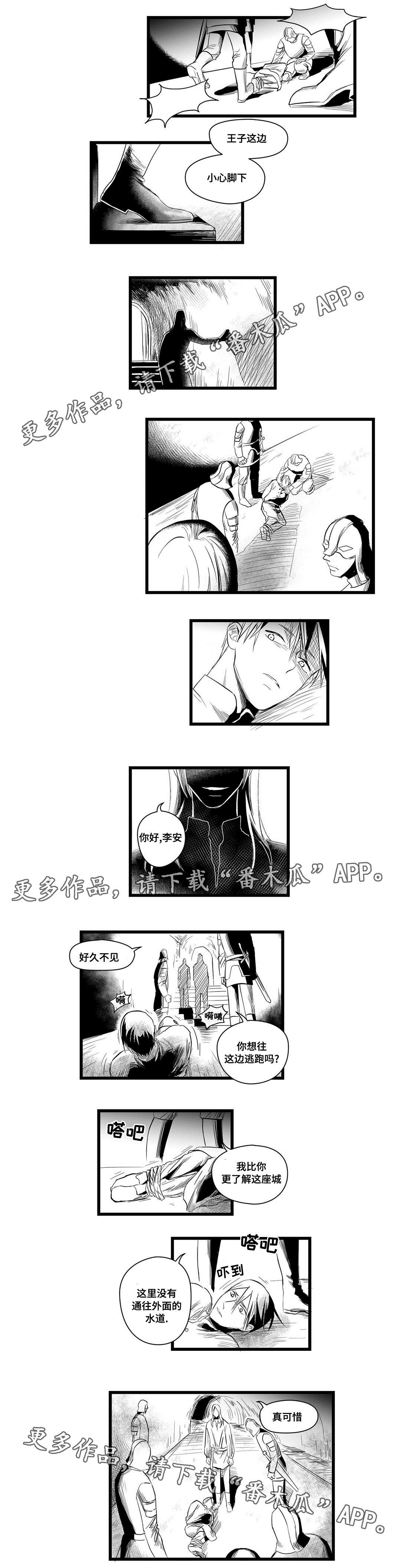 《巫师与王子》漫画最新章节第6章：危险免费下拉式在线观看章节第【5】张图片