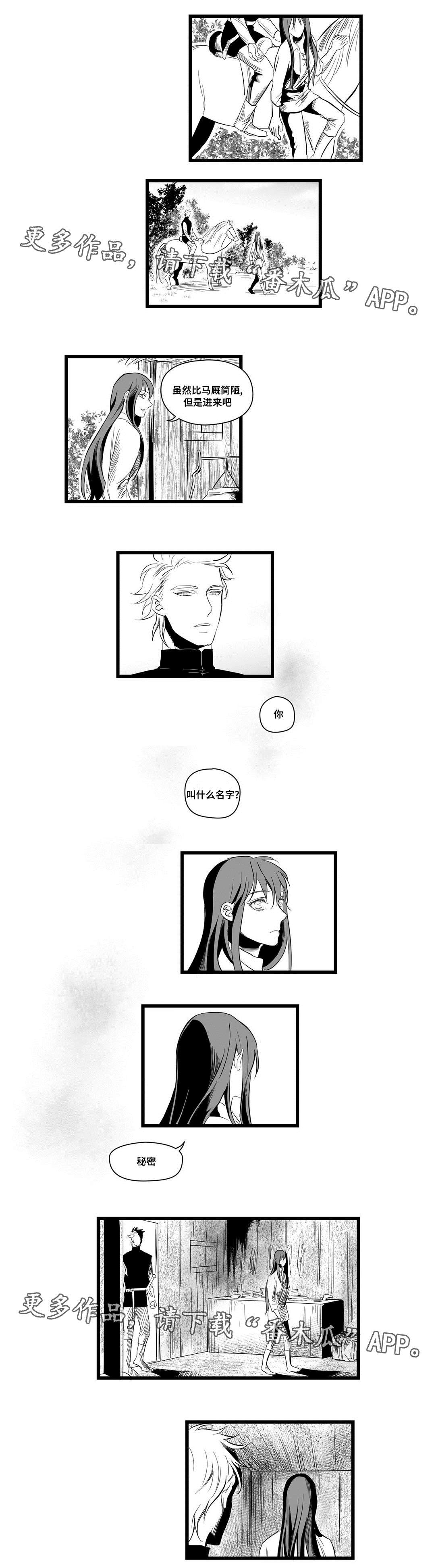 《巫师与王子》漫画最新章节第6章：危险免费下拉式在线观看章节第【7】张图片