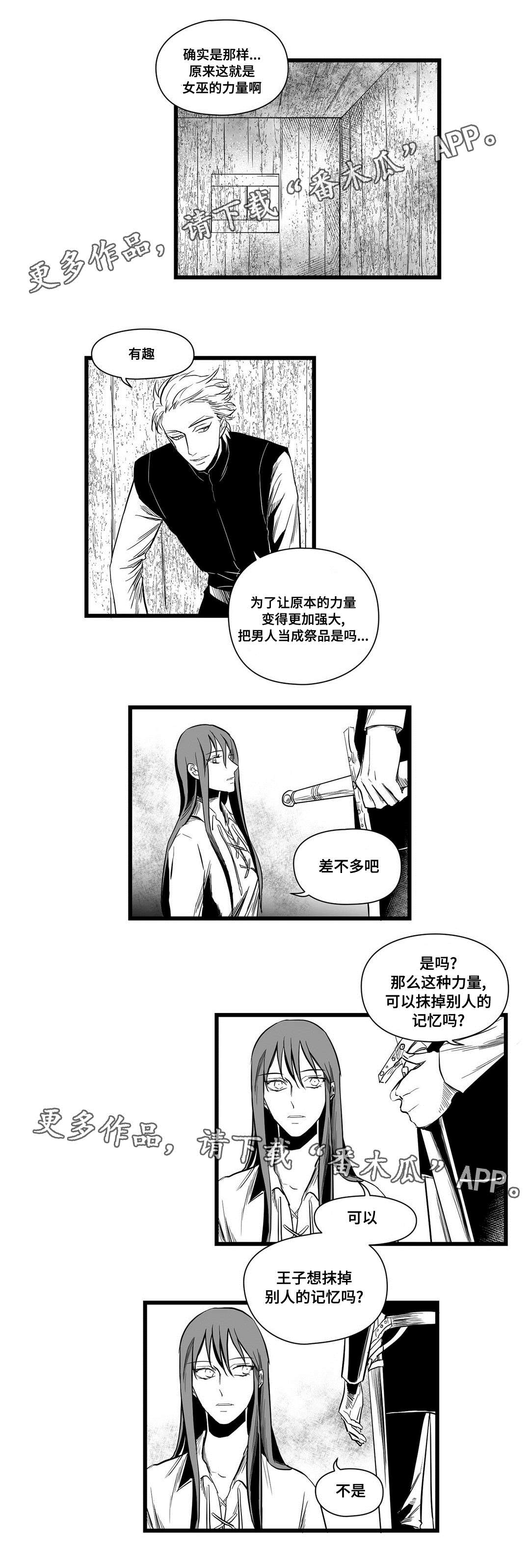 《巫师与王子》漫画最新章节第10章：真面目免费下拉式在线观看章节第【3】张图片