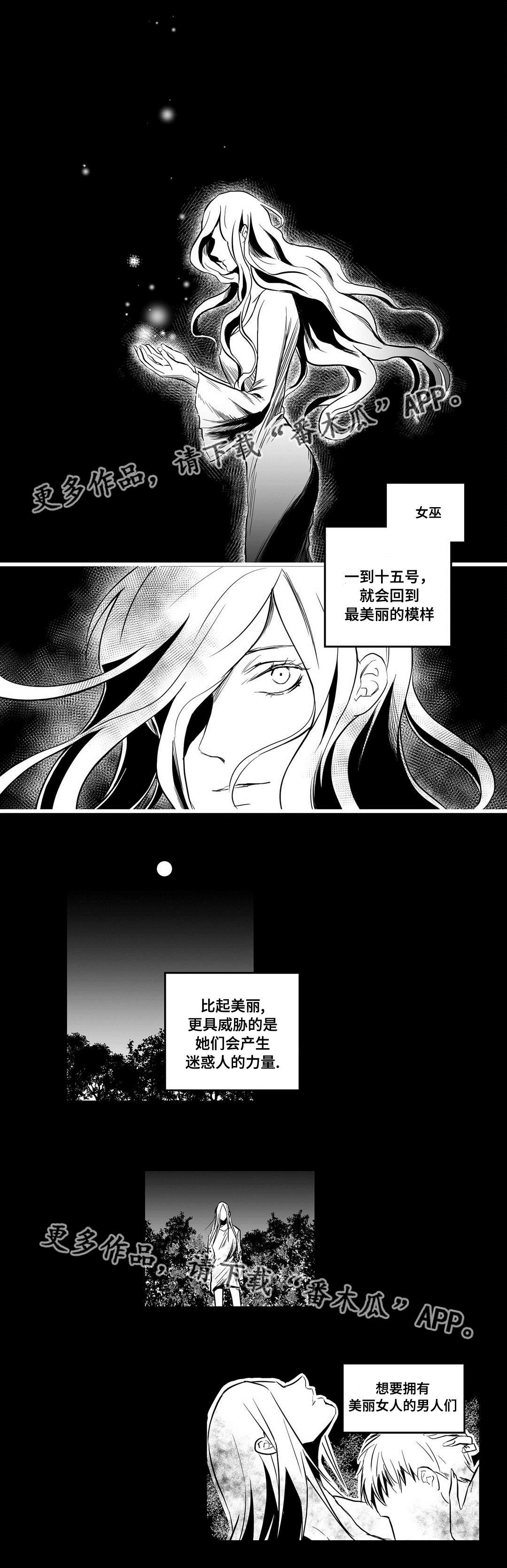 《巫师与王子》漫画最新章节第10章：真面目免费下拉式在线观看章节第【6】张图片