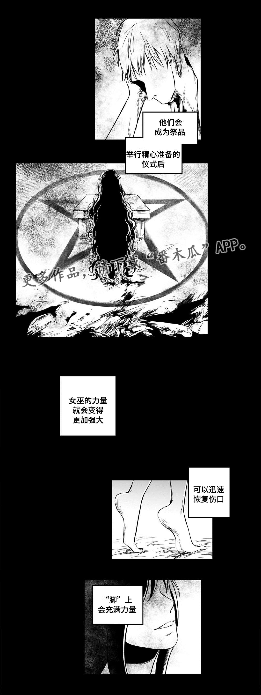 《巫师与王子》漫画最新章节第10章：真面目免费下拉式在线观看章节第【5】张图片