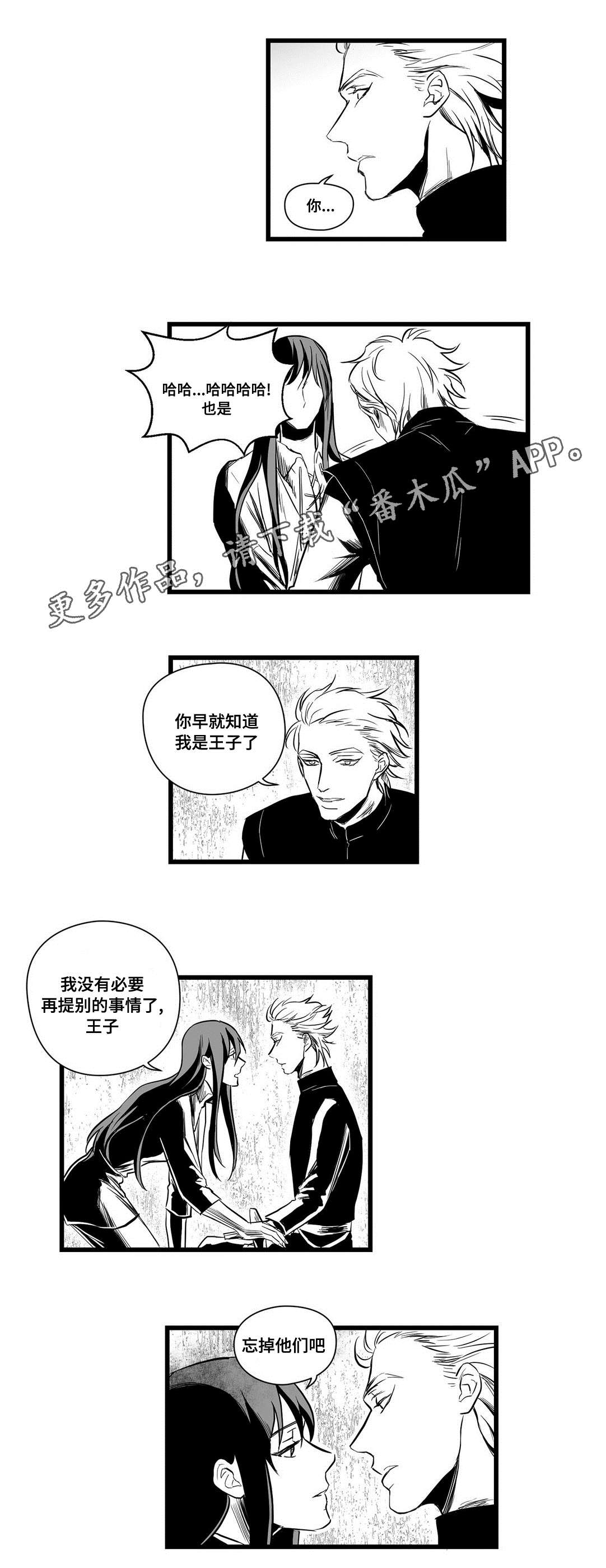 《巫师与王子》漫画最新章节第10章：真面目免费下拉式在线观看章节第【13】张图片