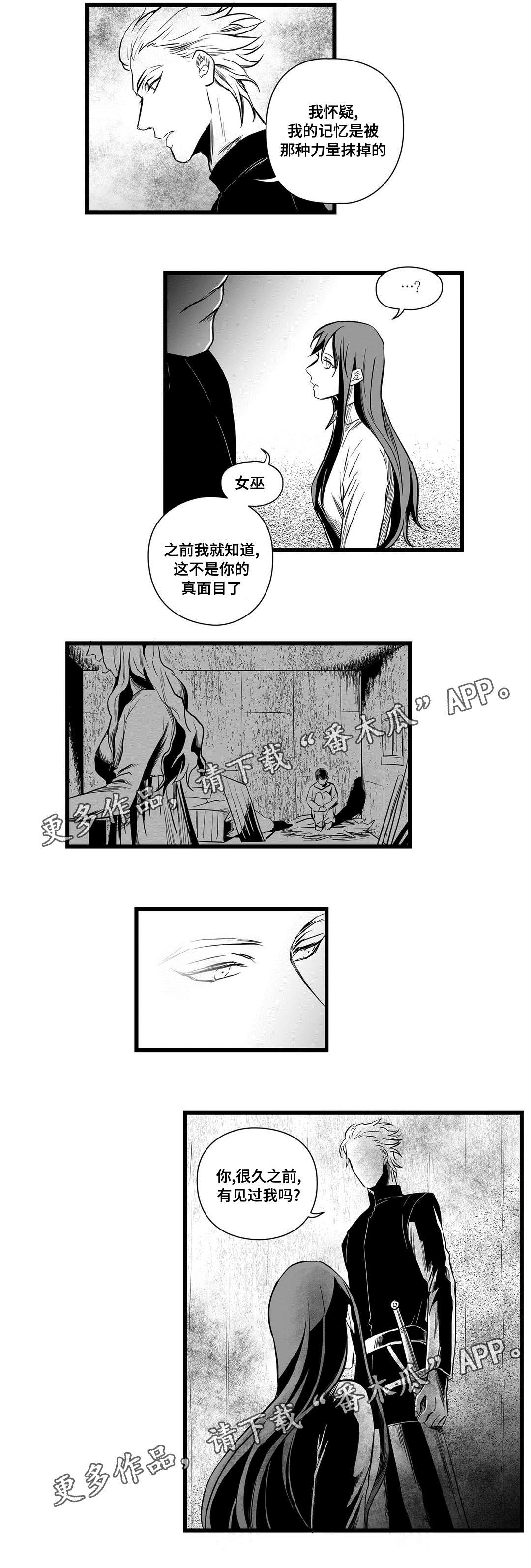 《巫师与王子》漫画最新章节第10章：真面目免费下拉式在线观看章节第【2】张图片