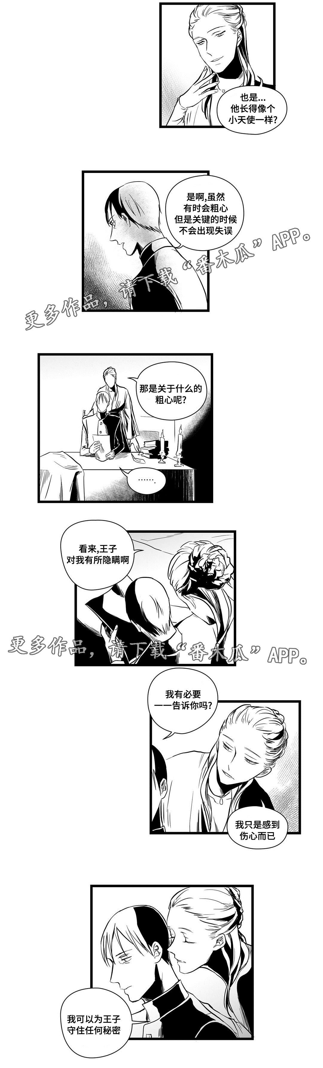 《巫师与王子》漫画最新章节第11章：秘密免费下拉式在线观看章节第【4】张图片