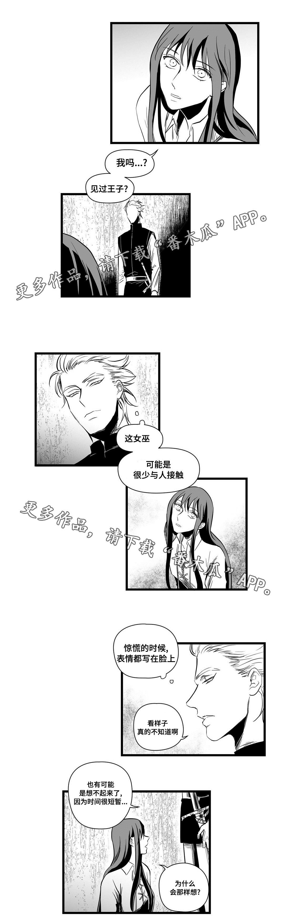 《巫师与王子》漫画最新章节第11章：秘密免费下拉式在线观看章节第【12】张图片