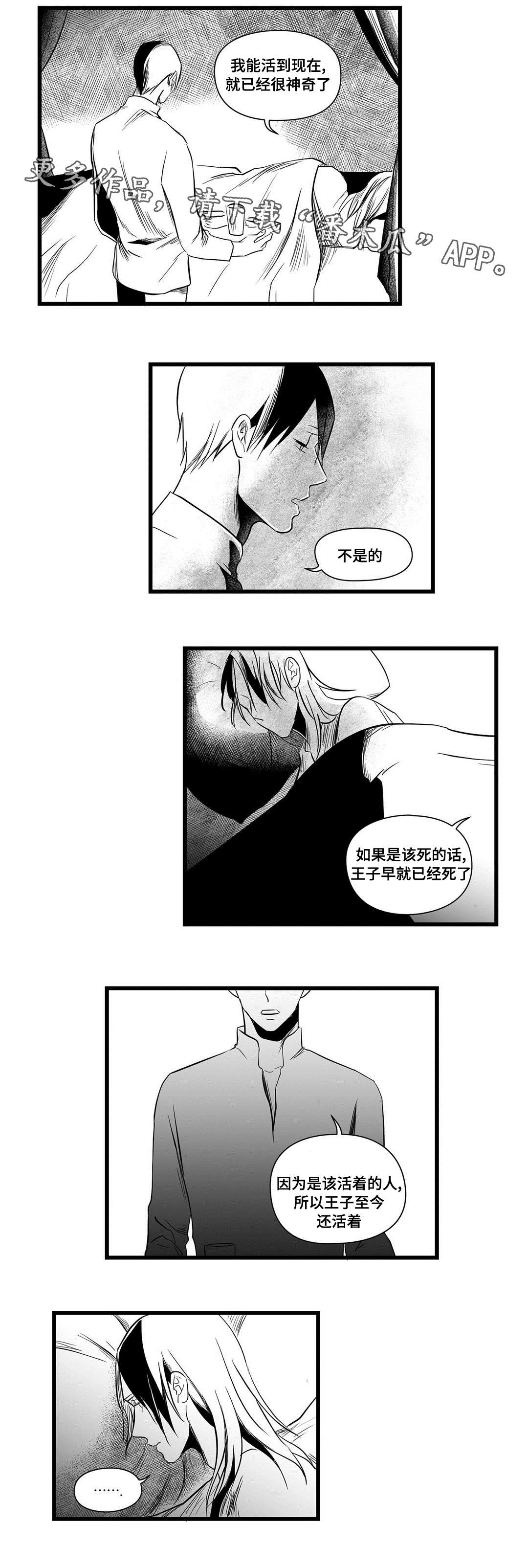 《巫师与王子》漫画最新章节第13章：四王子免费下拉式在线观看章节第【3】张图片