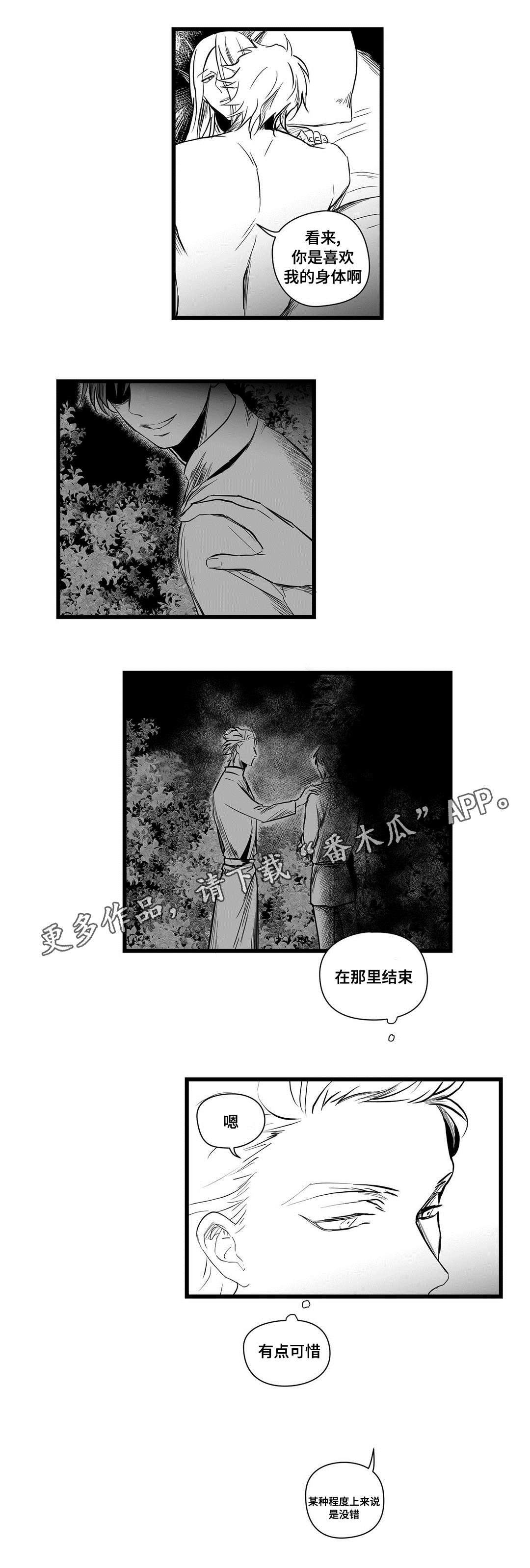 《巫师与王子》漫画最新章节第13章：四王子免费下拉式在线观看章节第【12】张图片