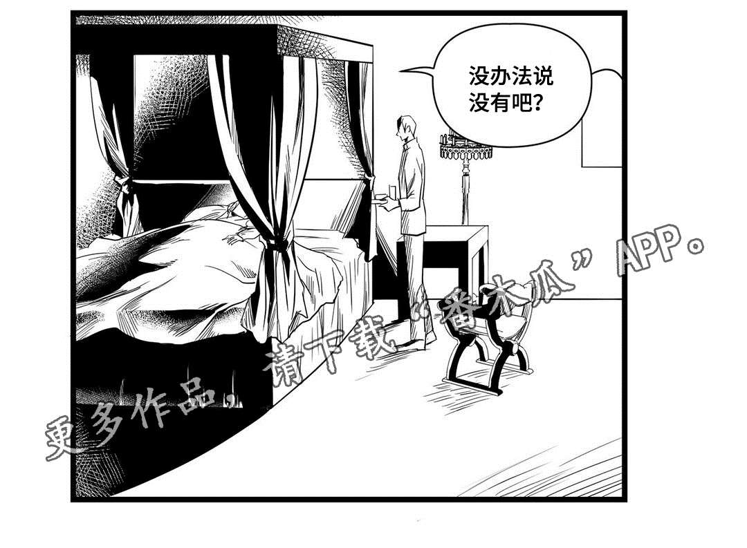 《巫师与王子》漫画最新章节第13章：四王子免费下拉式在线观看章节第【1】张图片