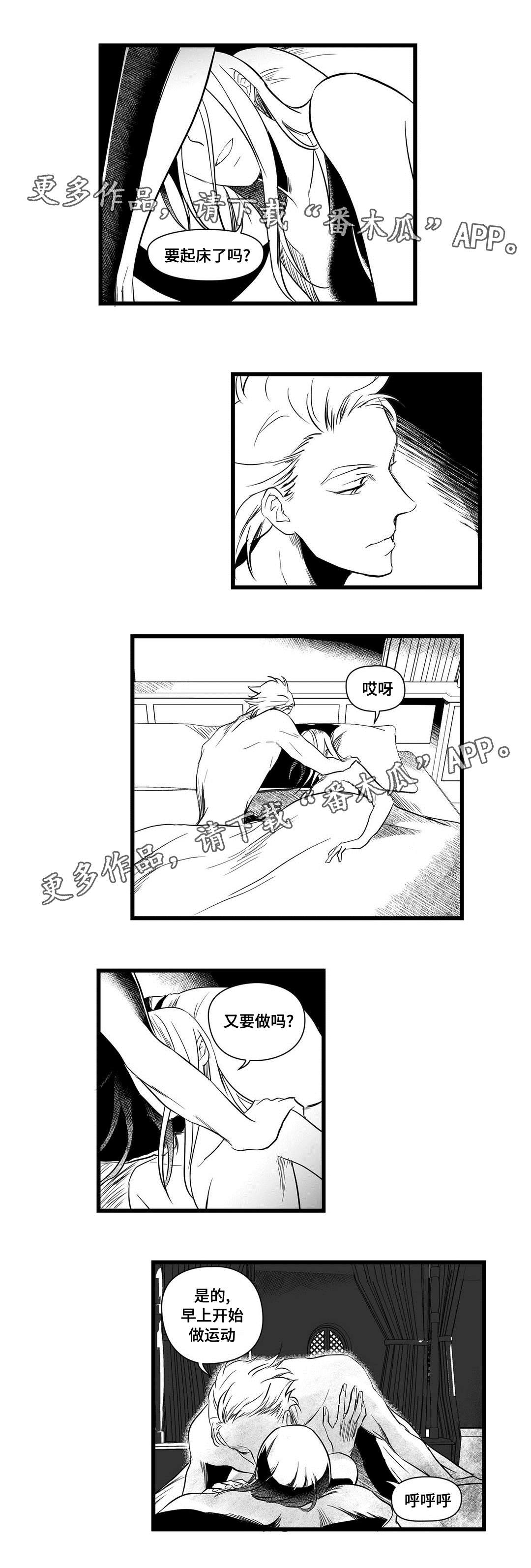 《巫师与王子》漫画最新章节第13章：四王子免费下拉式在线观看章节第【13】张图片