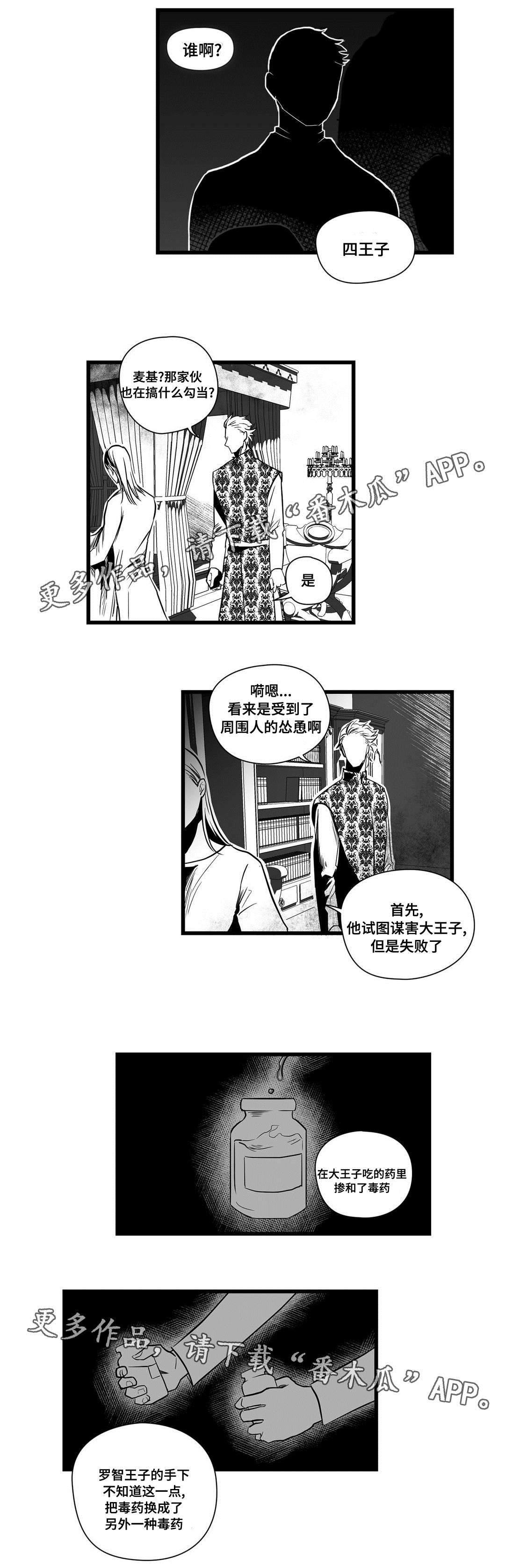 《巫师与王子》漫画最新章节第13章：四王子免费下拉式在线观看章节第【9】张图片